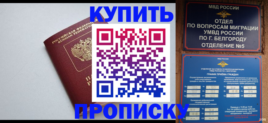 прописка регистрация в Куртамыше